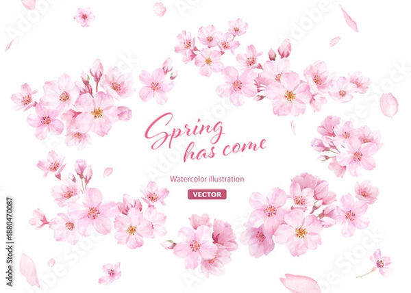 Obraz 桜の花と花びらの水彩イラストでデザインした、緩やかな楕円形フレーム ベクター