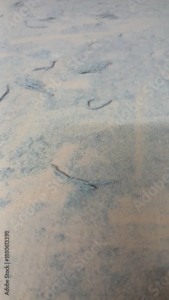 Obraz traces on snow