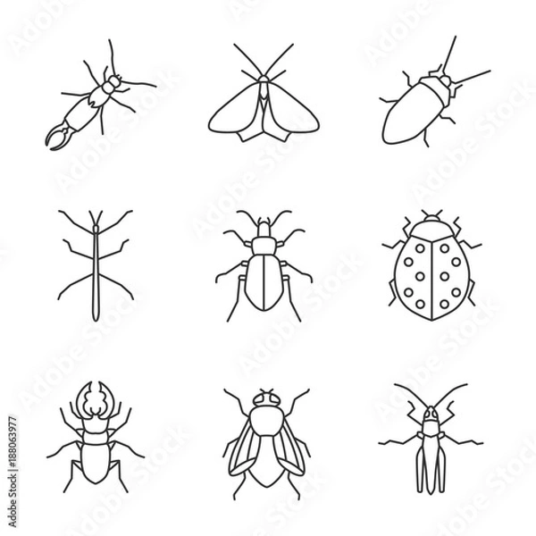 Fototapeta Insects linear icons set