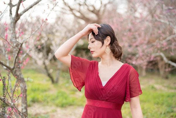 Obraz 美しい日本女性