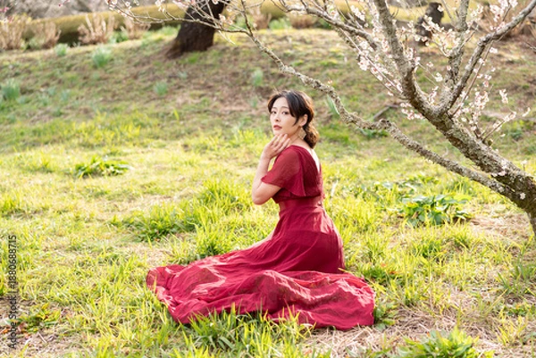 Obraz 美しい日本女性