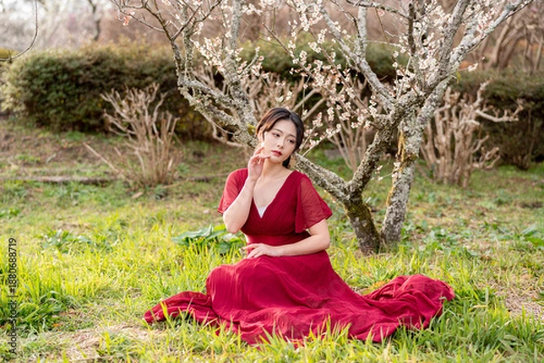 Obraz 美しい日本女性