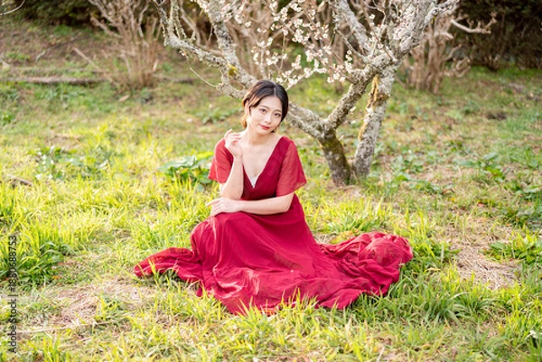 Obraz 美しい日本女性