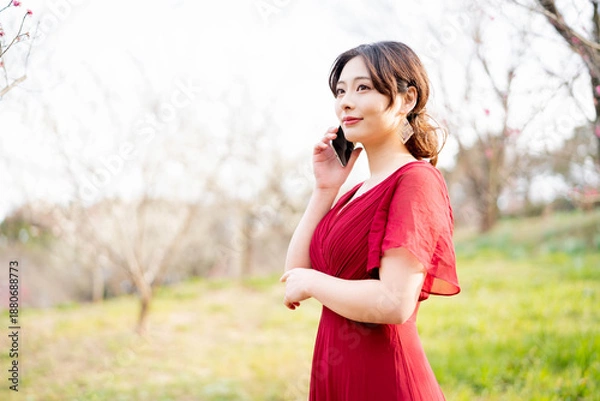 Obraz 美しい日本女性