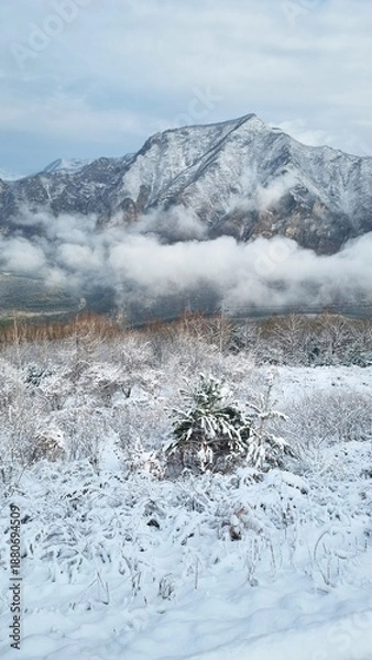 Obraz 아름다운 눈 덮인 겨울 산