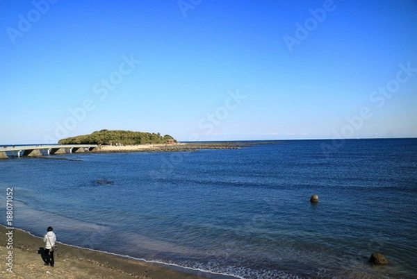 Fototapeta 冬の青島　日南海岸