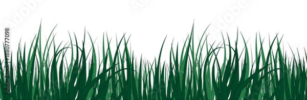 Obraz Green grass horizontal background, frame