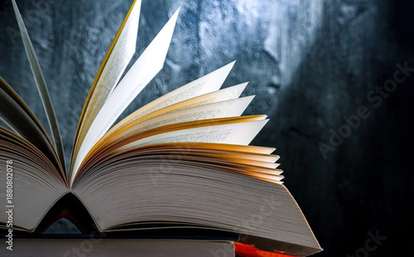 Obraz Composition with an open book