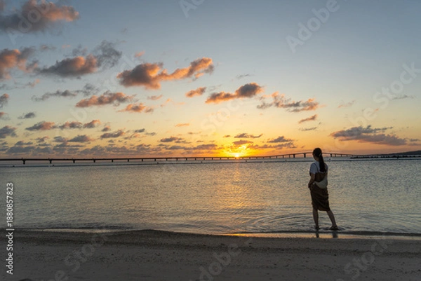 Obraz sunset on the beach