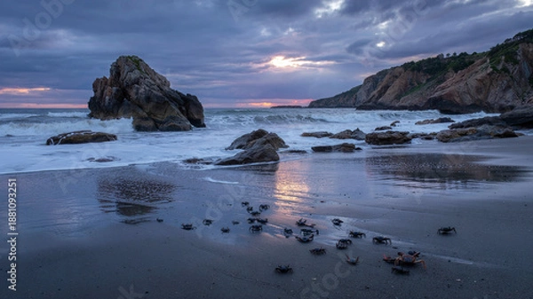 Obraz Waves batter rocks as crabs scuttle away