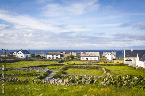 Obraz Houses and Stone Walls on the Aran Island of Inisheer, County Galway, in the West of Ireland
