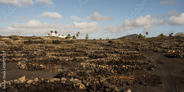 Obraz Lanzarote (2026-01)