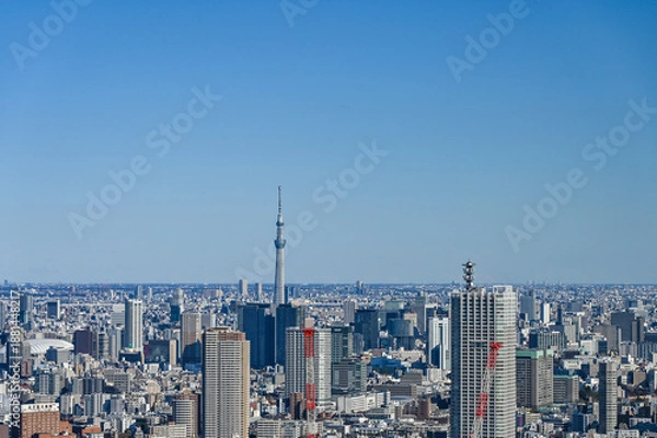 Fototapeta 日本東京の都市風景