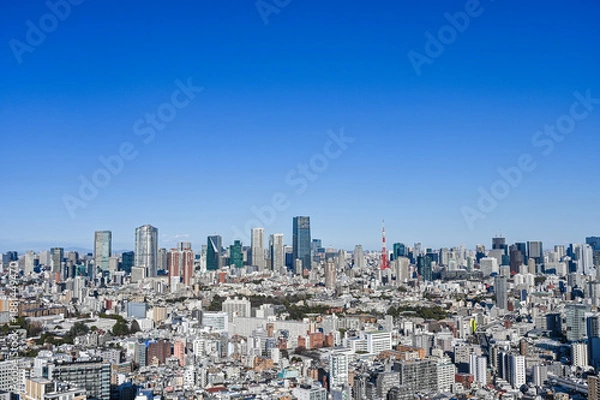 Fototapeta 日本東京の都市風景