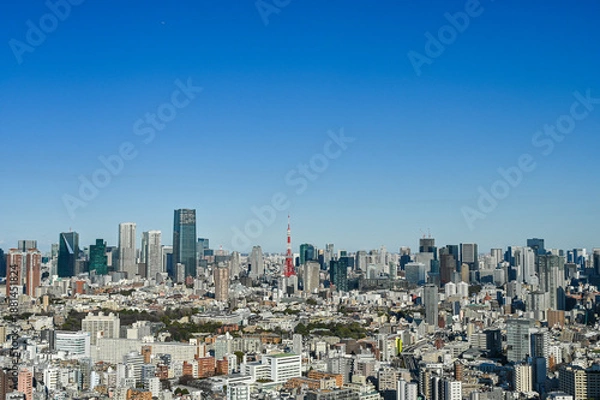 Fototapeta 日本東京の都市風景
