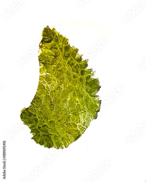 Obraz moldavite mineral isolated
