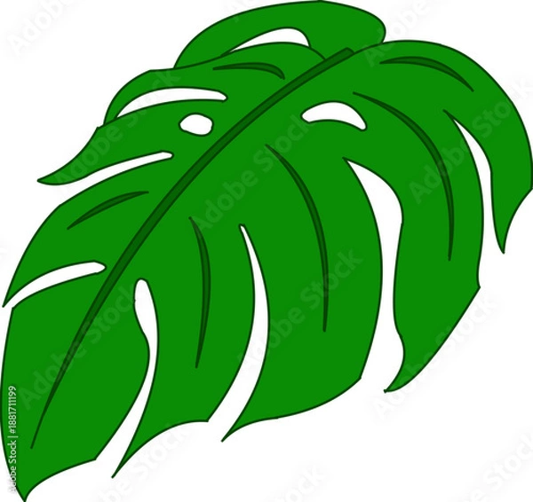 Obraz 몬스테라 잎