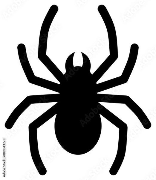 Obraz Black spider silhouette