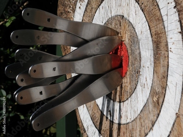 Obraz Throwing Knives in Target
