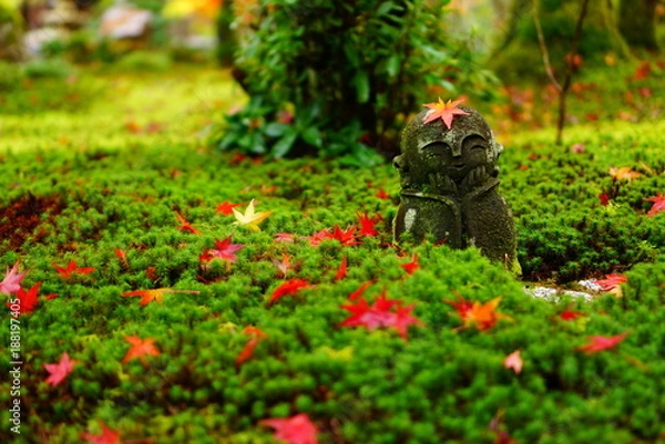 Obraz 京都圓光寺の紅葉とお地蔵さん