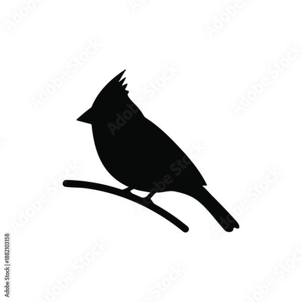 Obraz Cardinal bird silhouette icon vector flat design.