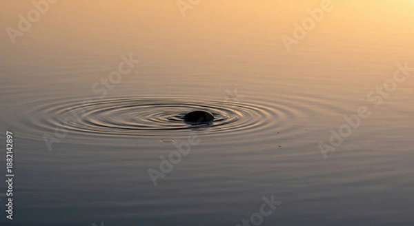 Obraz Small insect in dusky light