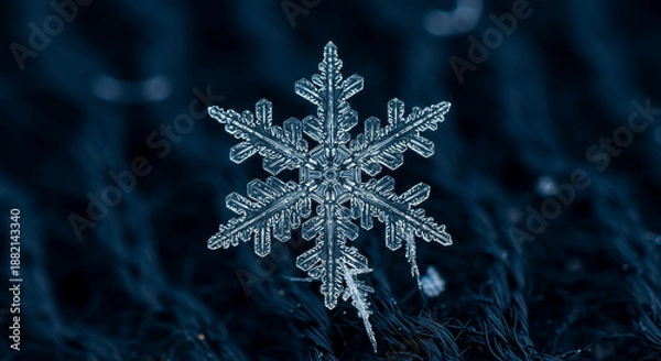 Obraz Single snowflake on dark background winter close up