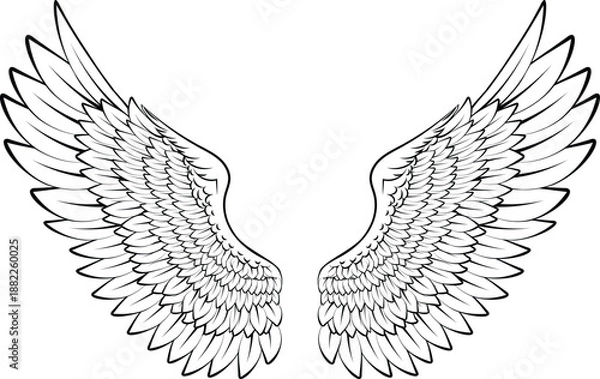 Obraz Spread eagle wings