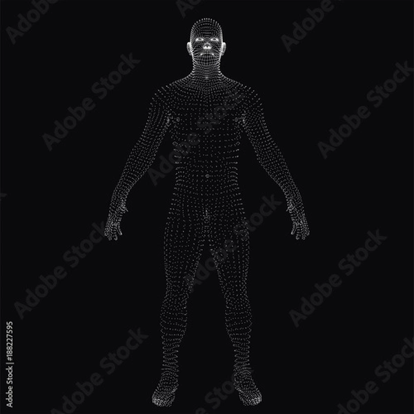 Obraz 3D human body. Dotted wireframe