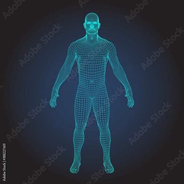 Obraz 3D wireframe human body