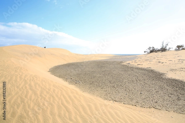 Fototapeta Sand dunes on the Atlantic coast in Maspalomas, Gran Canaria, Canary Islands, Spain