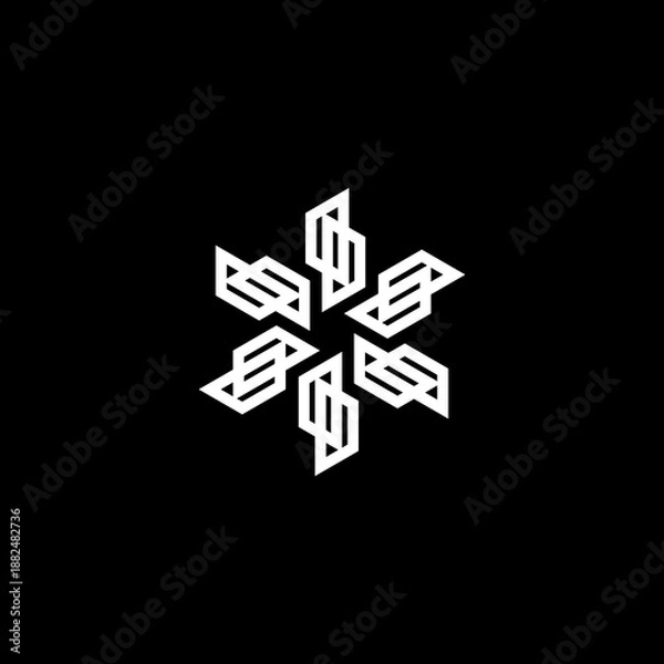 Obraz black and white snowflake