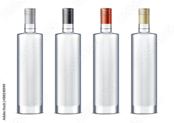 Obraz Blank bottles for alcohol drinks