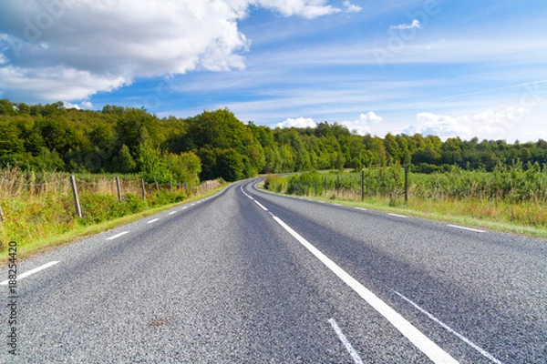Obraz Swedish road at summer