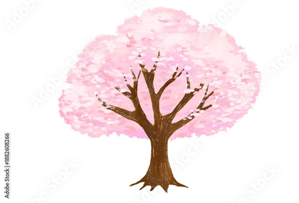 Obraz 桜の木の水彩風イラスト