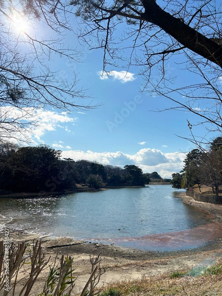 Obraz 爽やかな空と池