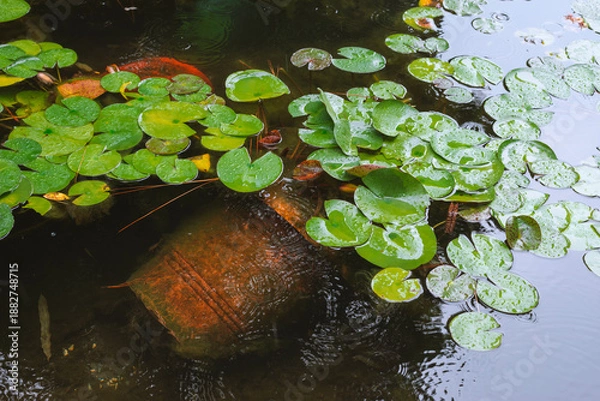 Obraz sunken amphora in pond