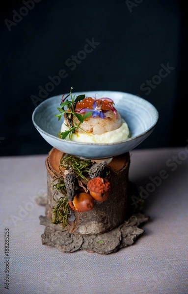 Fototapeta st jacques shell scallop