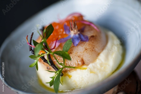 Fototapeta st jacques shell scallop