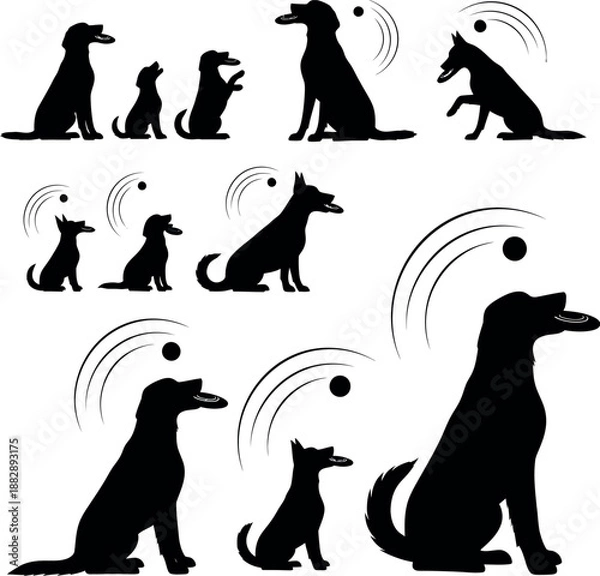 Obraz Dog silhouette set playing , isolated vector