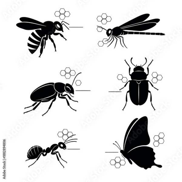 Obraz Insect Silhouette Vector 