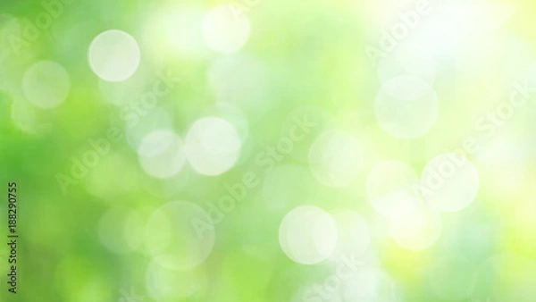 Obraz Abstract green background