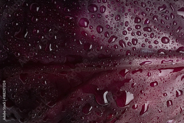 Obraz water drops on red cabbage background macro texture