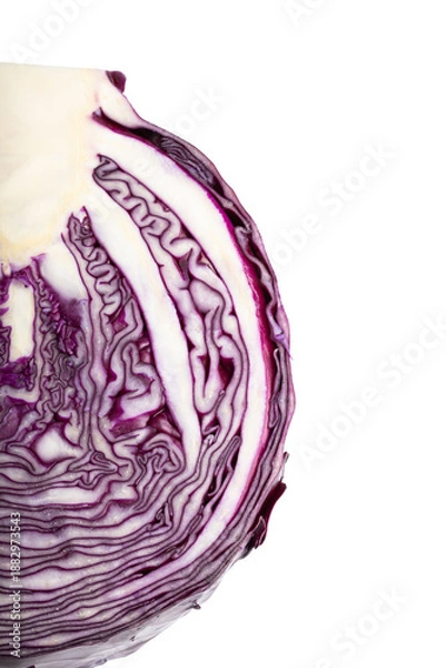 Obraz red cabbage isolated on white background