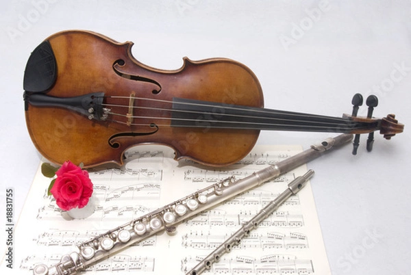 Obraz Viola, flauto traverso e ottavina