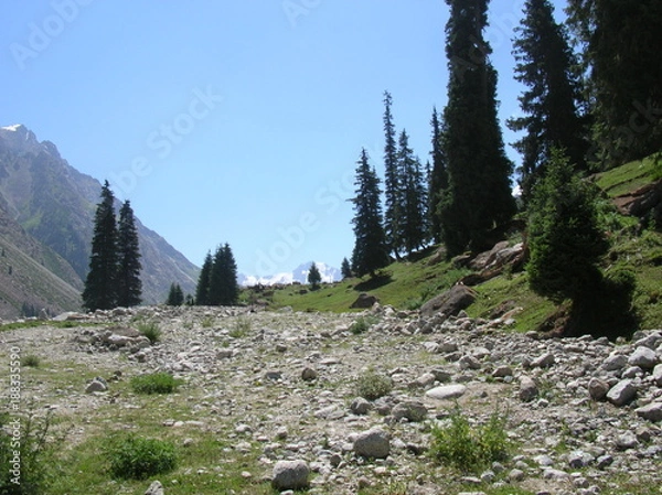 Obraz Alpine meadows