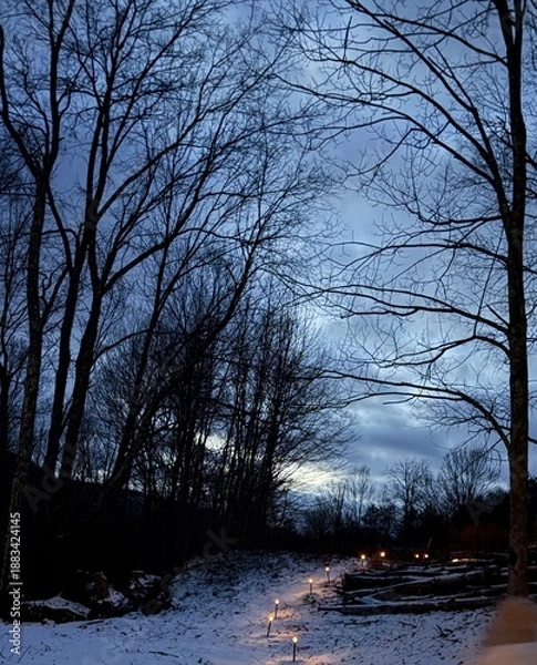 Obraz sunset in winter