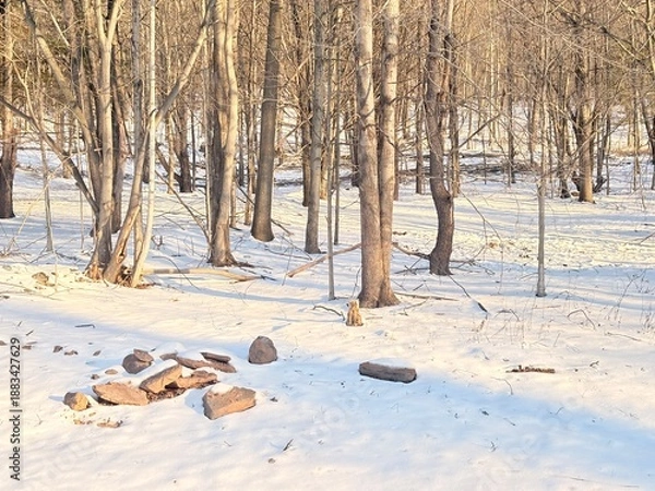 Fototapeta winter landscape with a tree