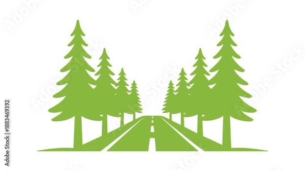 Obraz Forest path with tall pine trees