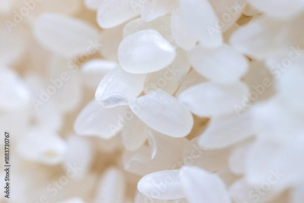 Obraz 白い米粒にクローズアップ